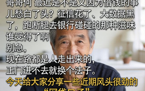 视黑花了借款口子有什么，归集五个高能分期贷款口子新秀