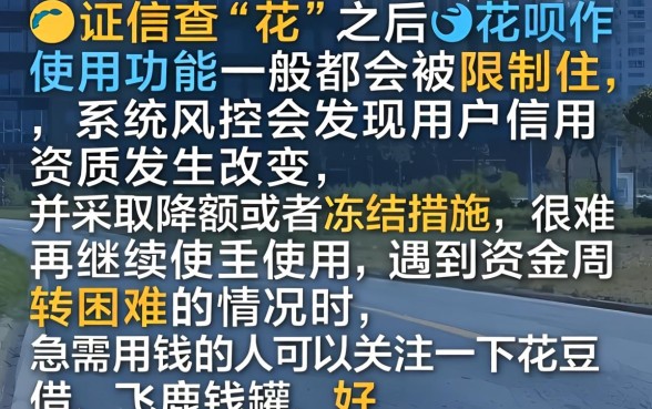 征信花了之后花呗能用吗，胪列五个逾期必下款的口子