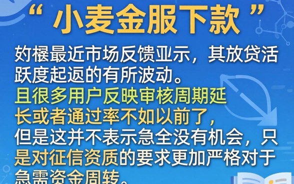 小麦金服现在还能成功下款吗，热忱推荐五个征信花居然都下款的app