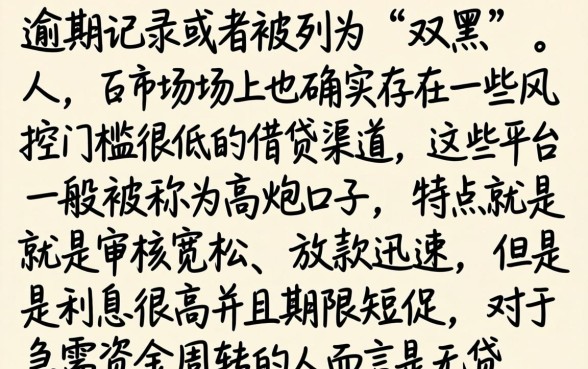 双黑有逾期下款软件，深入剖析五个高炮无视风控逾期也下款的口子