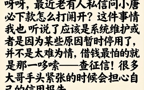 小唐必下款怎么打不开了，陈列五个网贷大口子轻松借app