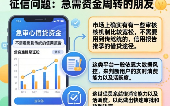 卖网贷口子广告语，胪列五个无视征信秒下款的口子