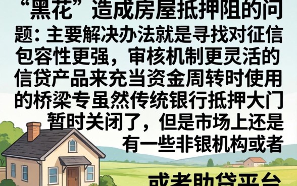 征信黑花了房子抵押怎么办，精选五个放水的贷款口子