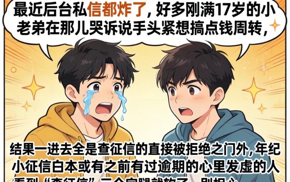 哪些平台17岁贷款，详尽说明五个靠谱的借款软件