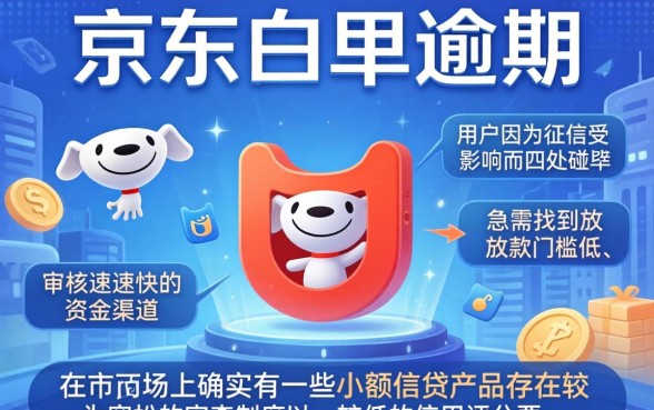 京东白条逾期几天还不了，概括五个无视征信黑白100%秒下网贷口子