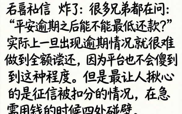 平安逾期后可以最低还款吗，深入剖析五个无视一切是人就下款的软件