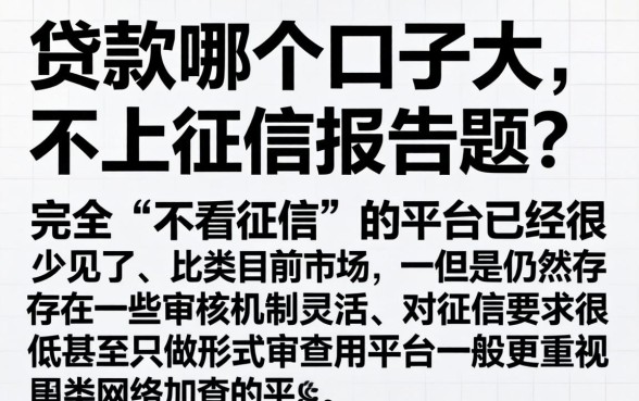 网络贷款哪个口子大，概览五个不上征信报告的贷款软件