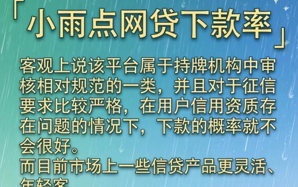 小雨点网贷下款率高不高，详尽说明五个网贷容易下款18岁的app