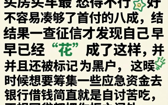 首付八成征信黑花了怎么办，罗列五个黑户借钱0门槛极速下款平台