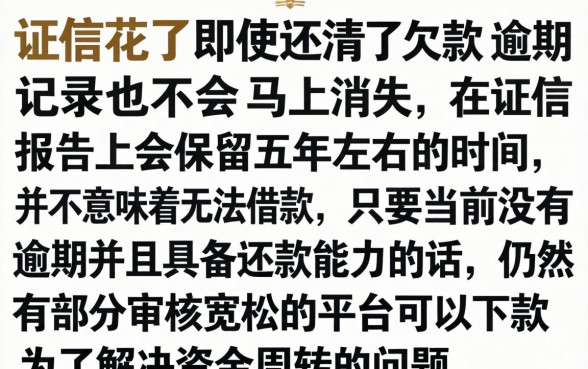 征信花了还了钱会怎么样，整理5个手机身份证秒借现金的软件