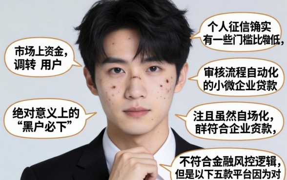 哪款网贷用户最多，整合五个1000元黑户必下小贷