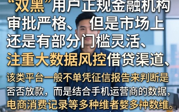 双黑能下款的口子有，整合五个手机身份证秒借现金的口子
