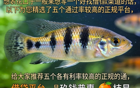 泰狮身上有个黑花口子是什么，汇整5个借款好下款的app