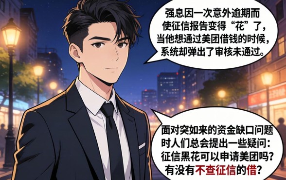 征信黑花了能申请美团吗，整合五个不看征信查询的口子