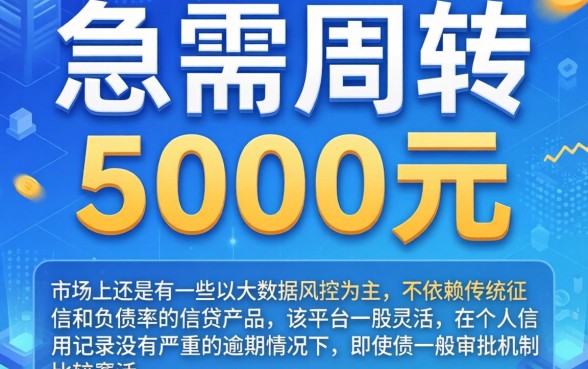 哪个平台可以借5000元,陈列5个不看负债秒下款的网贷软件
