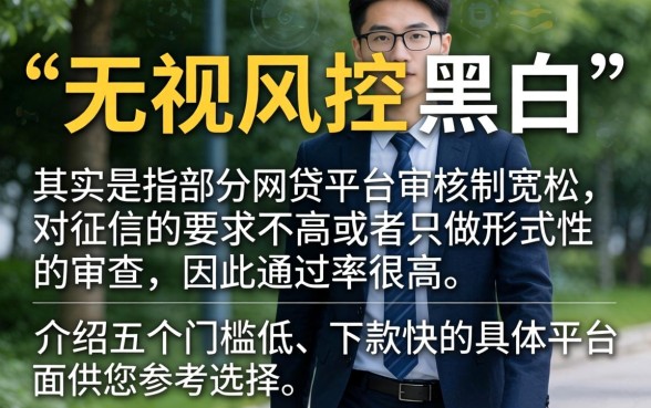小额贷款口子秒下，理出五个真正无视风控黑白的网贷平台