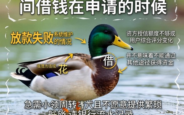 花鸭借钱会显示放款失败吗，倾情分享5个不查流水的小额度贷款软件