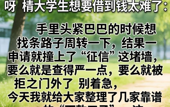 大学生的下款口子，梳理五个无忧速借当天放款的app