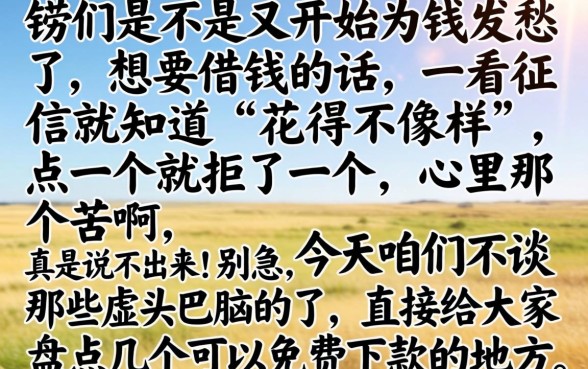 真正能免费下款的口子，汇总五个百分百下款无视黑白户网贷
