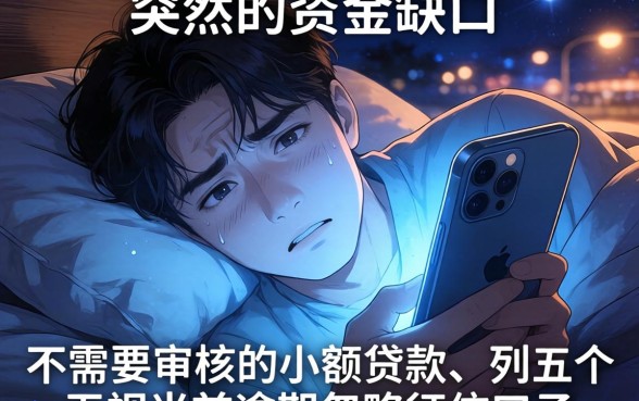 不需要审核小额贷，罗列五个无视当前逾期无视征信的借款口子