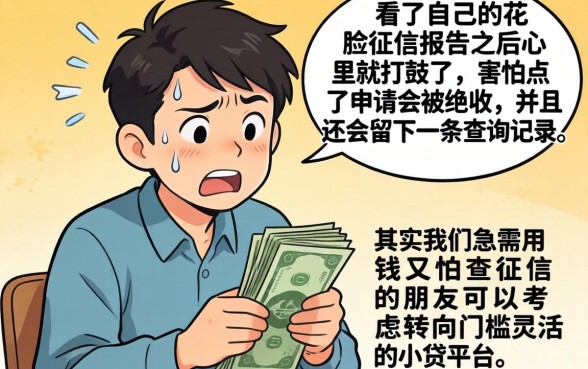 分期小额贷款网站有哪些,概括五个网贷口子风控不严的口子