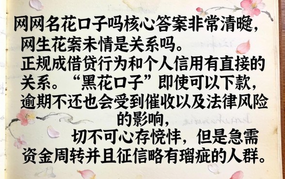 网款黑花口子不还有关系吗，热忱推荐5个新号易贷速审秒下款平台