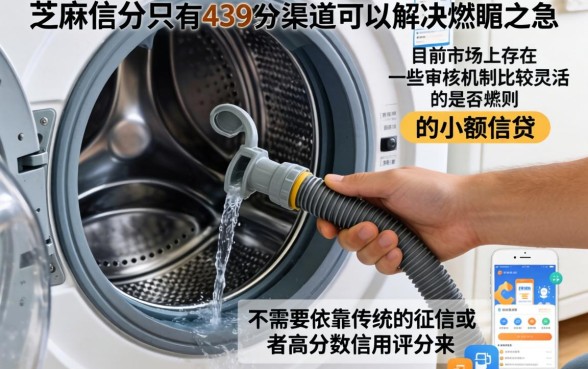 洗衣机放水管口子漏水，热忱推荐五个芝麻信用439分下款的软件