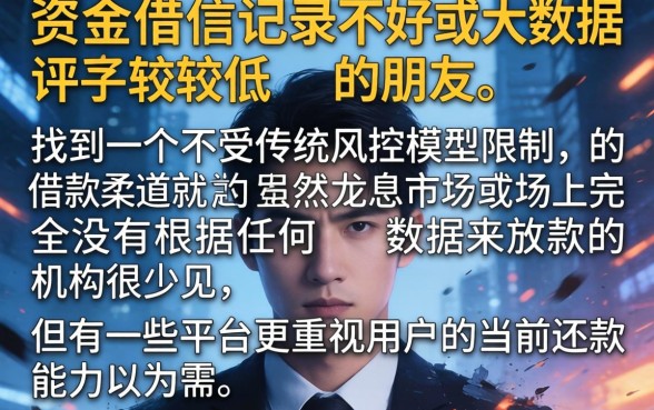 不看大数据不查征信，汇整5个无视黑白户口子