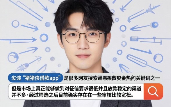 新口子猪猪侠借款app，精选五个征信瑕疵也能借网贷轻松下款的平台