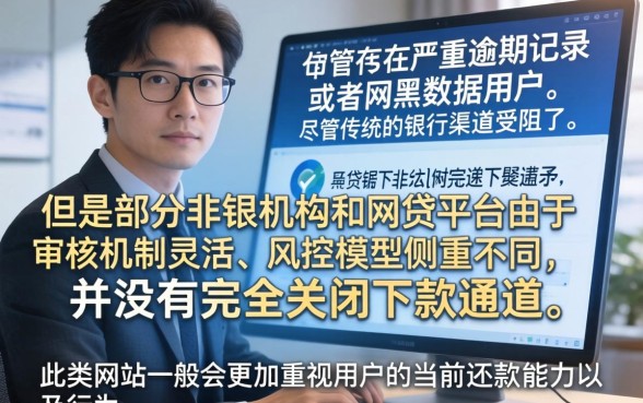 征信黑户网黑贷款,整合五个黑征信也能贷款的网贷口子