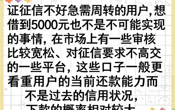 征信不好怎么借5000，陈列五个无视黑花能下款一万元口子