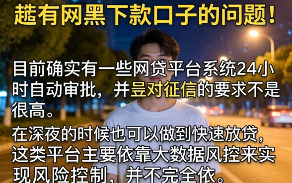 晚上有网黑下款口子吗,甄选五个无视黑花半夜下款的网贷平台