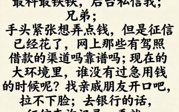 有驾照借款的口子吗，概括五个芝麻信用600贷款app