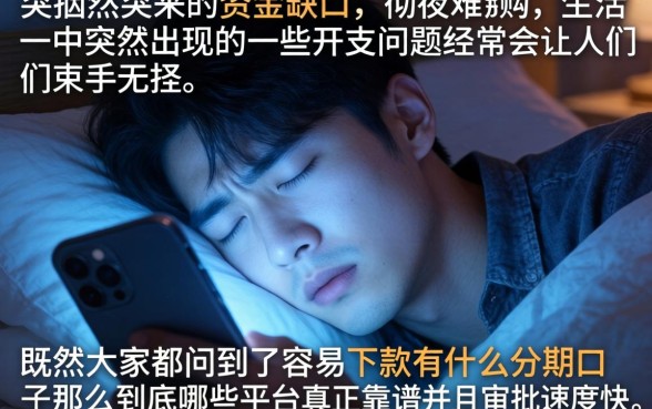 容易下款有什么分期口子,鼎力推荐5个急用钱5000快审快贷无需征信app