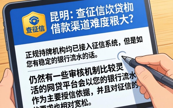 昆明有不看征信的借款吗,遴选5个看银行流水的网贷口子