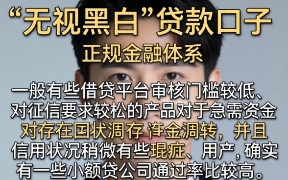 无视黑白口子有什么，归集5个无视黑白必下款的网贷app