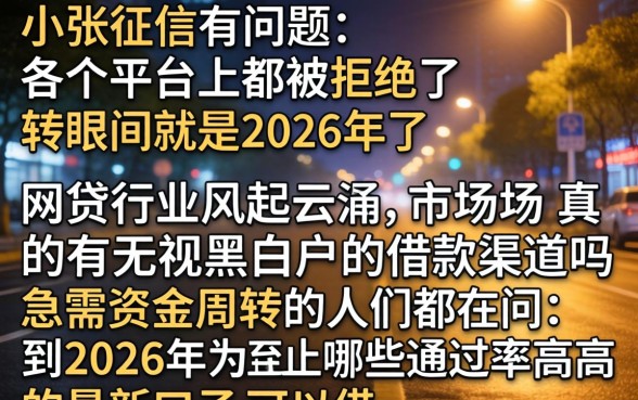 2026年 网贷，枚举五个无视黑白户最新口子