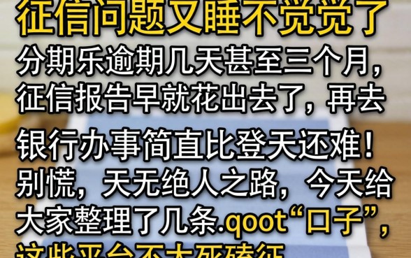 分期乐逾期几天三个月，归集五个看银行流水的网贷平台