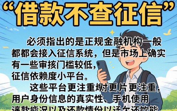 那个借款不查征信，深入剖析五个不看年龄征信负债的平台