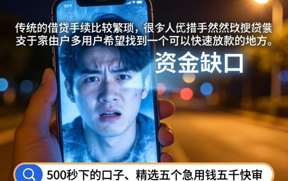 500秒下的口子,精选5个急用钱5000快审快贷无需征信软件