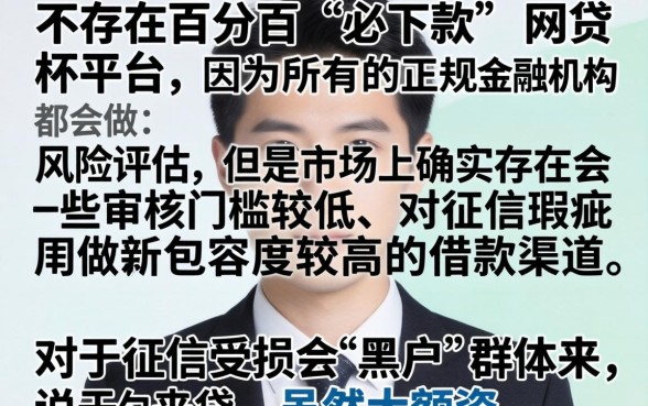 有哪些网贷必下款的平台，理出5个黑户成功获取大额贷款的app