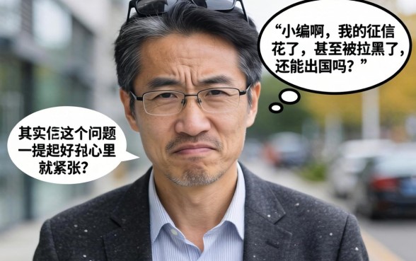 征信拉黑花了还能出国吗吗，精选5个逾期太多能下款软件