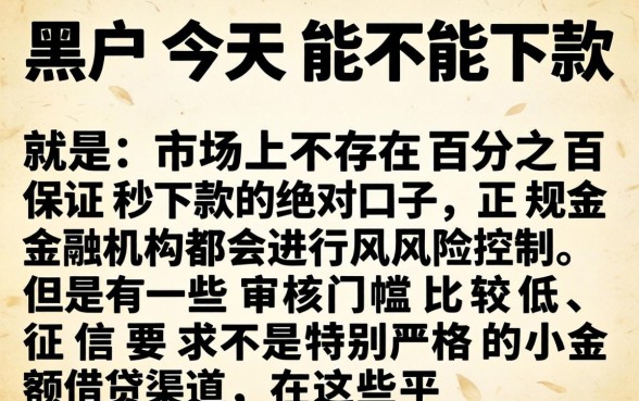 有今天下款的黑户口子吗，详细阐述五个黑户可以做大额贷款平台