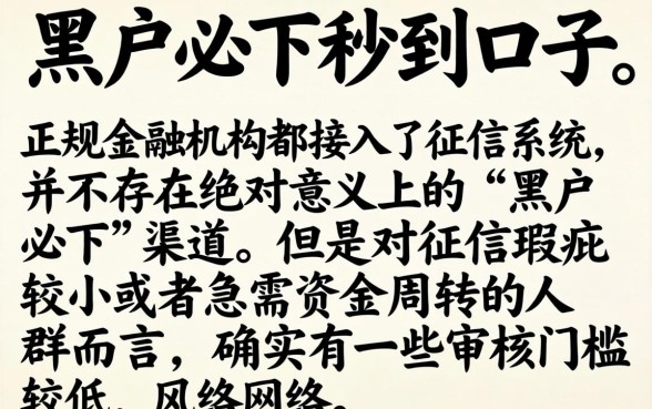 黑户必下秒到口子，细致阐述五个网贷大口子轻松借软件