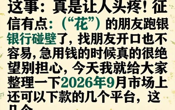 2026年9月借款口子，概览五个网贷无视不查征信软件