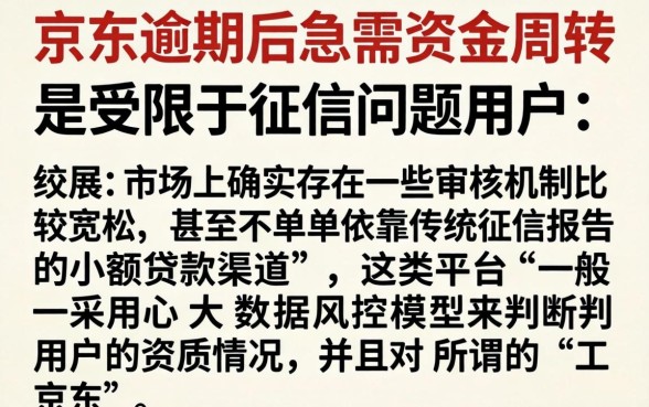 京东逾期还款流程图示，深入剖析5个无视网黑征信黑5000贷款口子