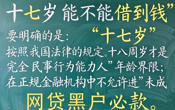 什么软件十七岁可以借钱，理出5个网贷黑户必过软件