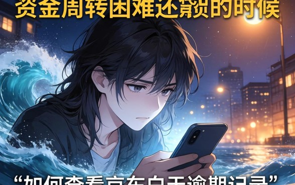 怎么查京东白天逾期记录,梳理五个网贷口子风控不严的平台