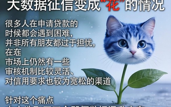 大数据征信花了怎么办啊，诚意推荐五个无视黑白户下款的口子