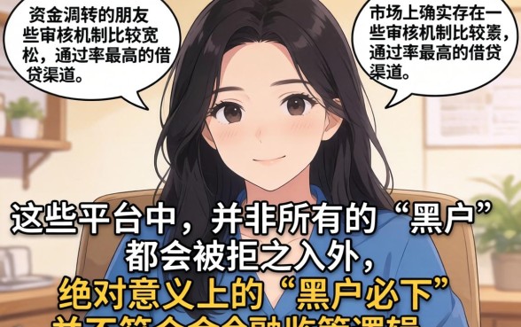 有没有好下点的口子，详细阐述5个黑户必下款的口子